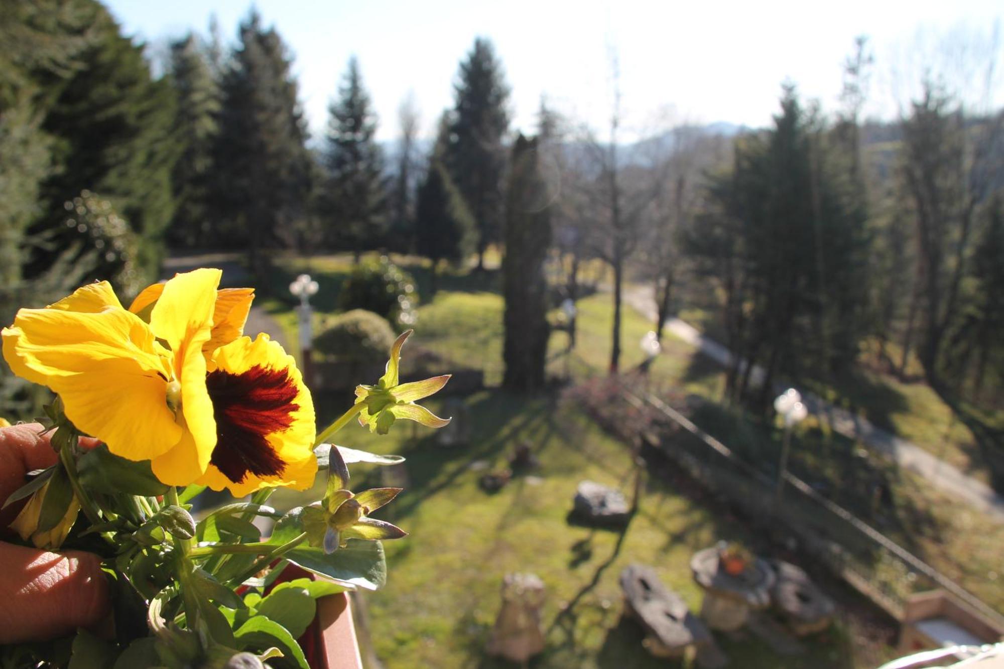 Antica Dimora Del Portico Bed & Breakfast Borgiallo Dış mekan fotoğraf